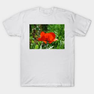 Giant Red Poppy T-Shirt